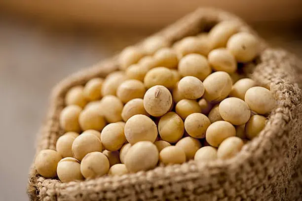 TWR-Trading-NONGMO_soy